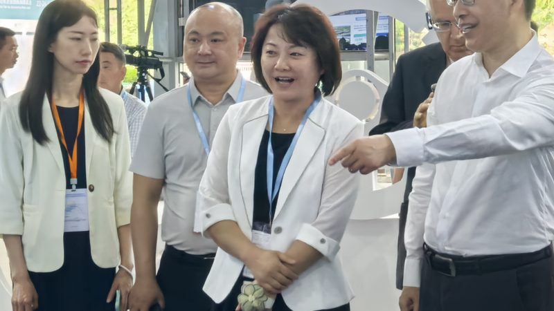 上海轴承型号规格表：揭秘轴承选型的关键要素